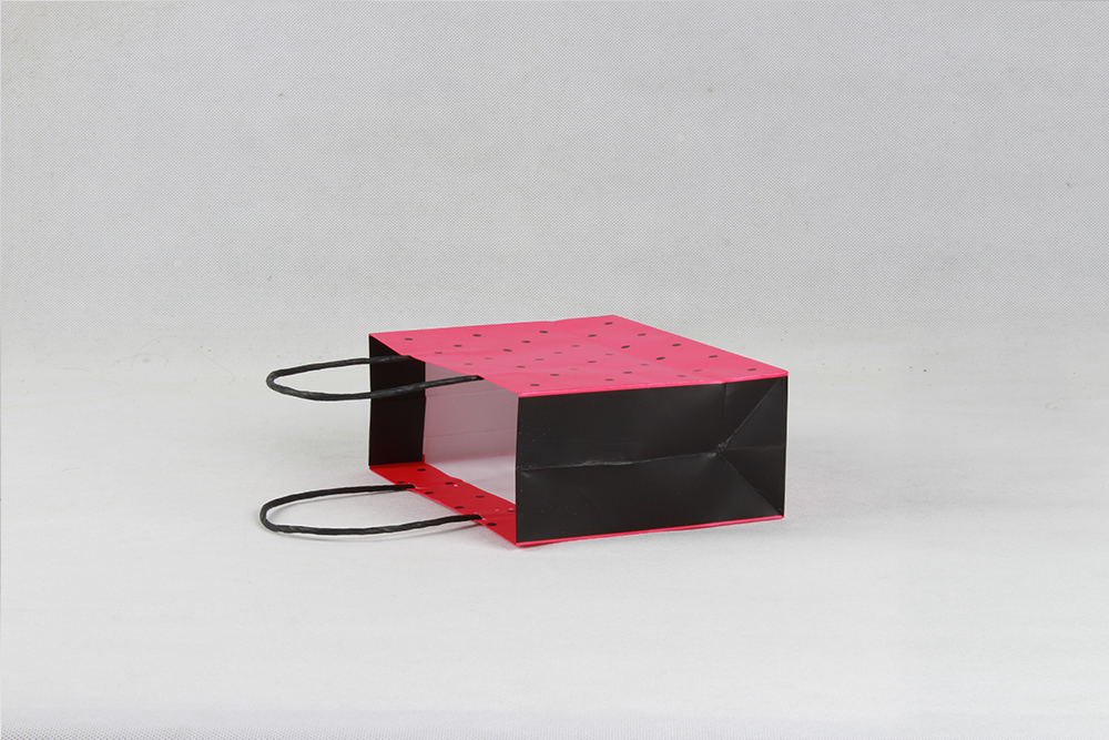 時(shí)尚紅底黑點(diǎn)禮品銅版紙袋