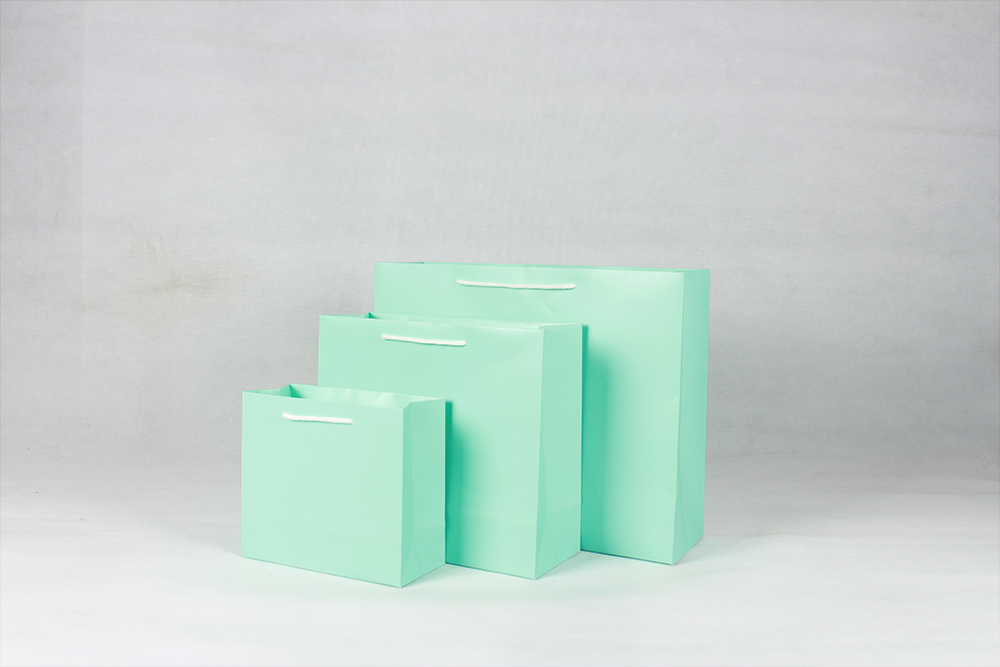 時尚橫版白卡淺綠禮品紙袋